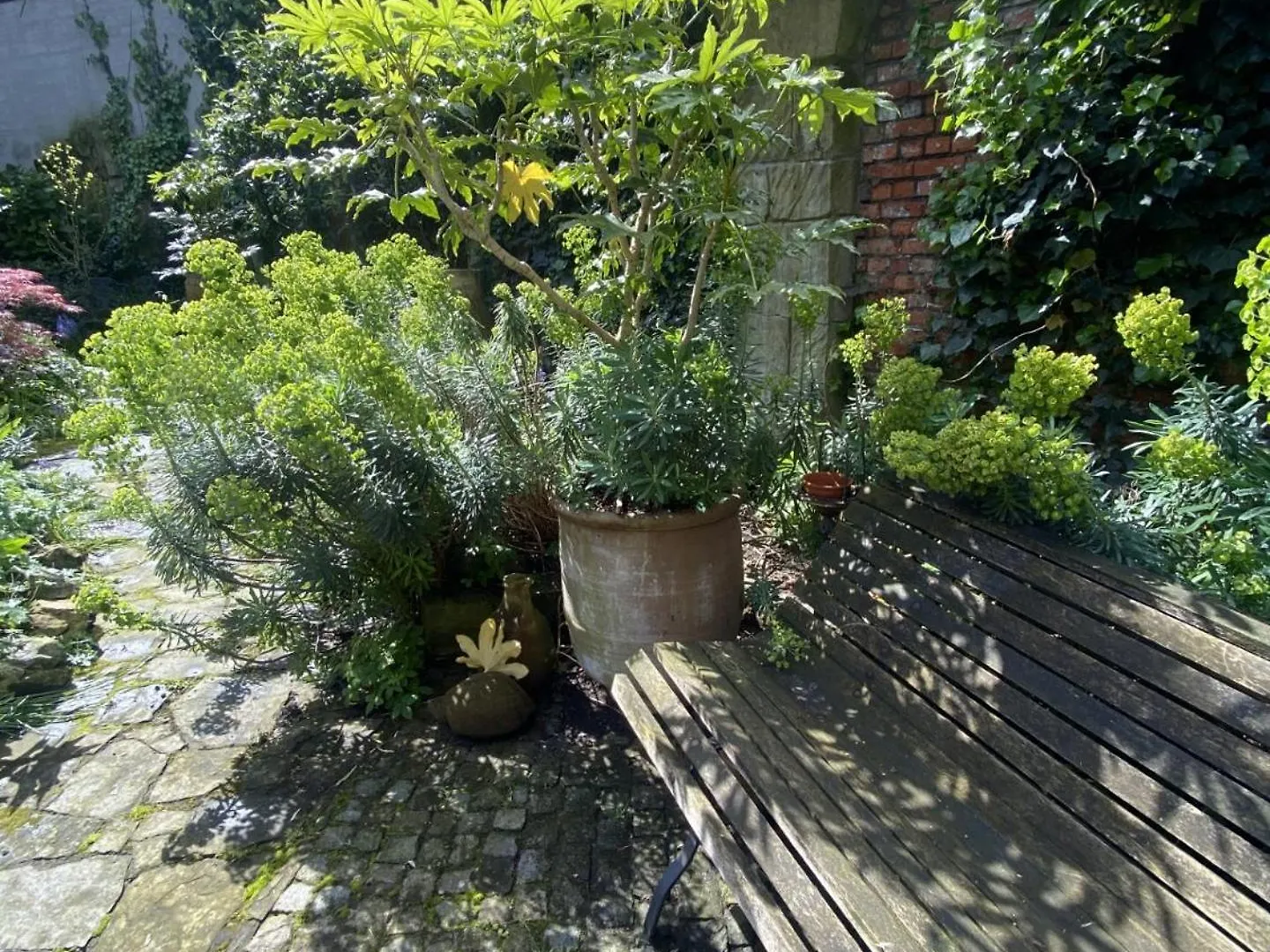 Frühstückspension Bed and Breakfast Au Lit Jerome Antwerpen